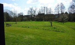 The water meadow