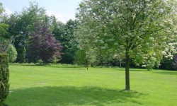 Attractive Gardens