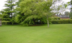 Attractive Gardens